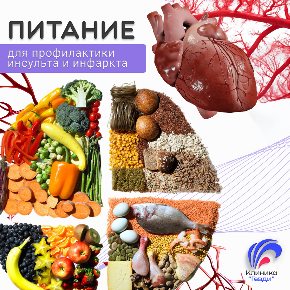 На что следует обратить особое внимание для поддержания здоровья сердечно-сосудистой системы?