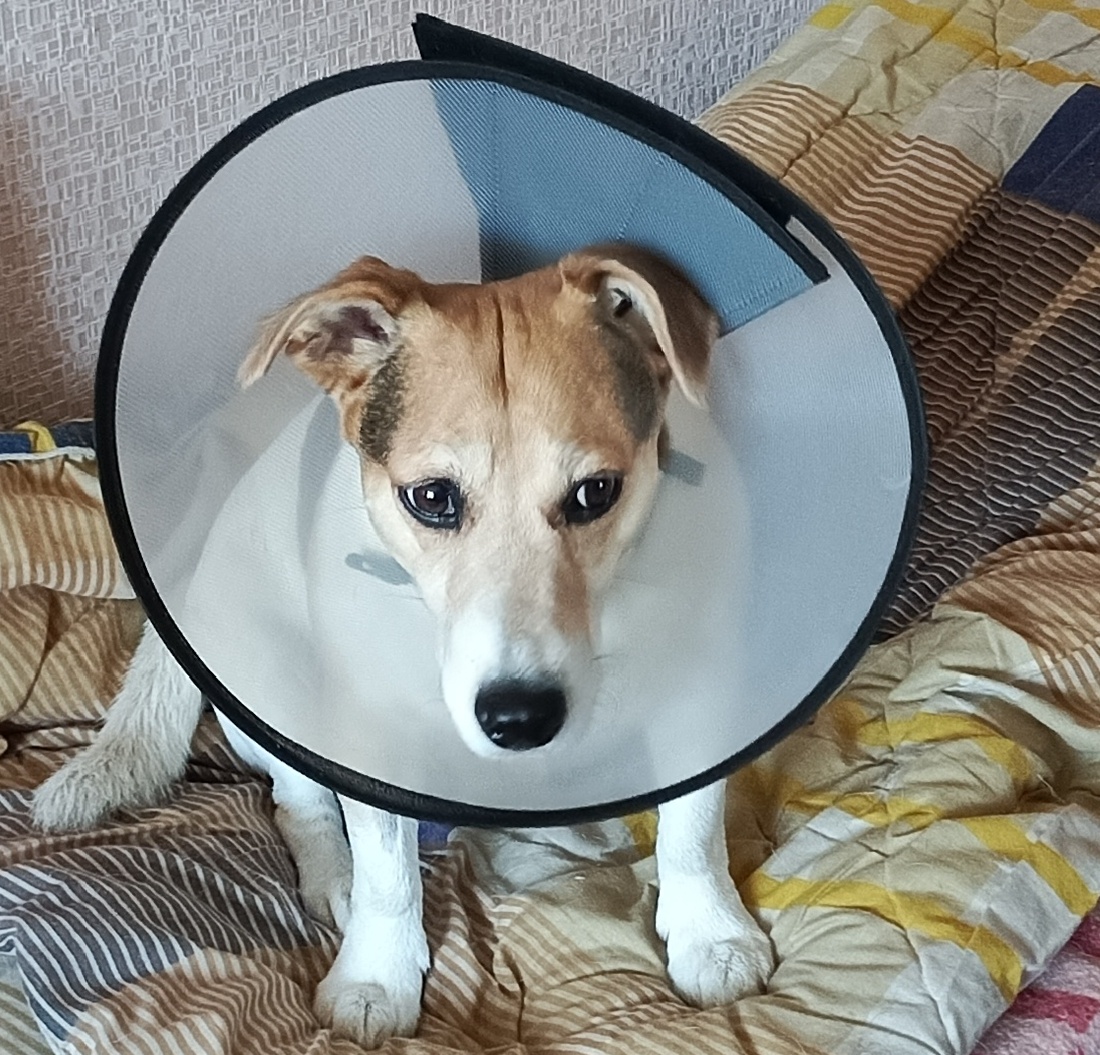 Фото автора статьи