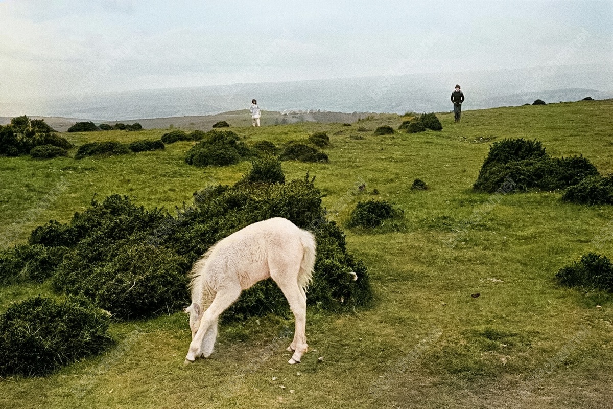 Фотограф: Дэвид Хёрн
