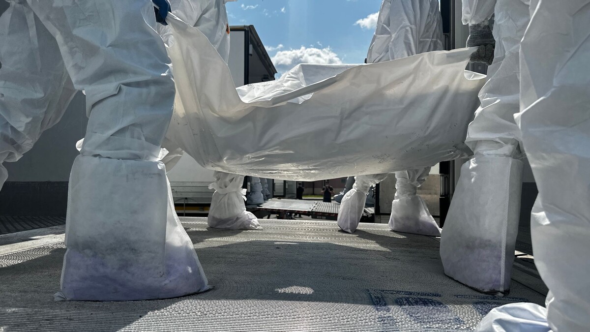     / Источник: Кадр из видео