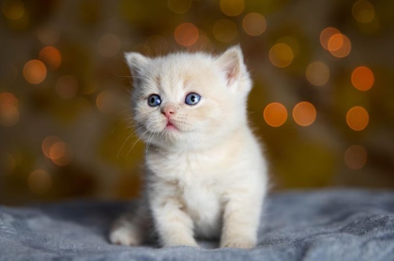    Фото: Фото: freepik.com/ wirestock Екатерина Шахнина