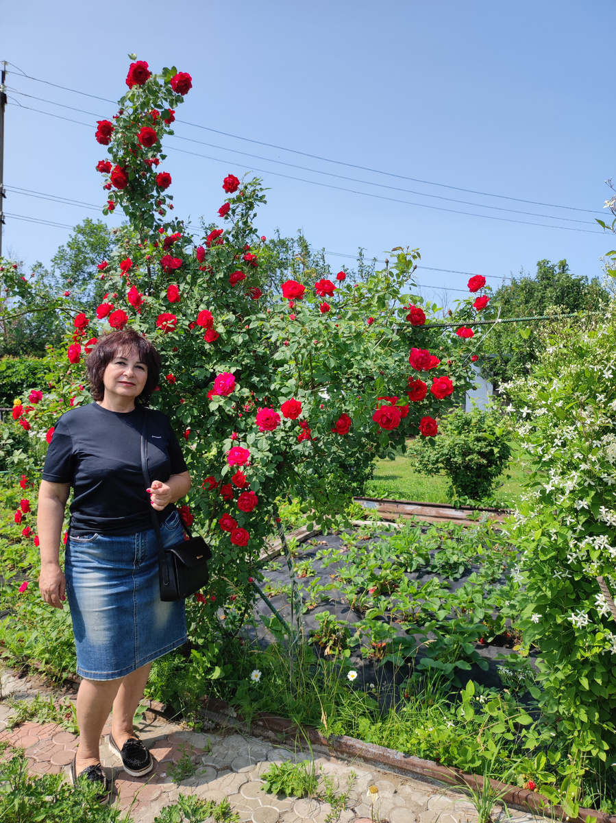 Я на фоне фламентанц на огороде подруги. Фото автора.