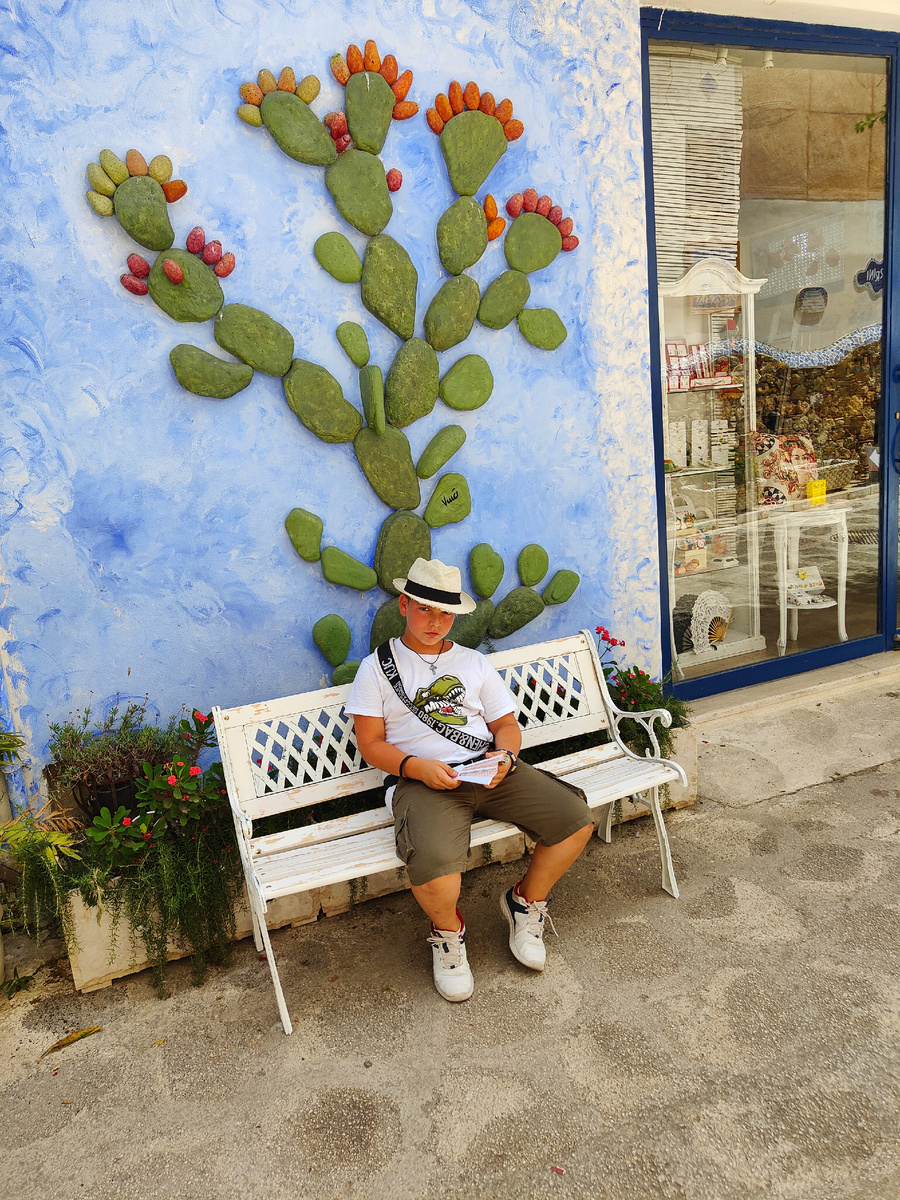 Кактус опунция на фасаде дома, выполненный из раскрашенных камней