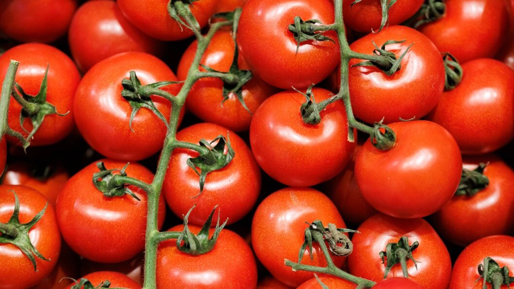    Фото: Sergey Elagin/Globallookpress