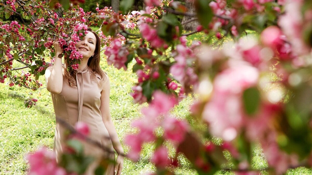     Источник: 1MI