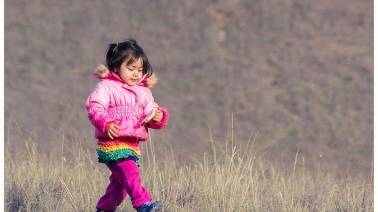    Чем полезен свежий воздух и как совершать прогулки? pixabay.com