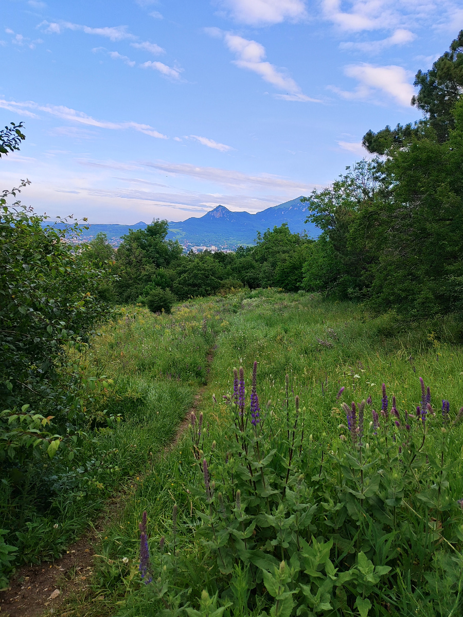 Пятигорск ранним утром (июнь 2025 года)