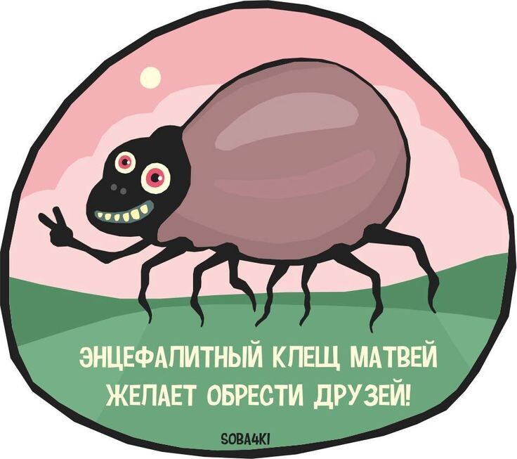 Я своего сфоткала, но не факт, что алгоритм пропустит.