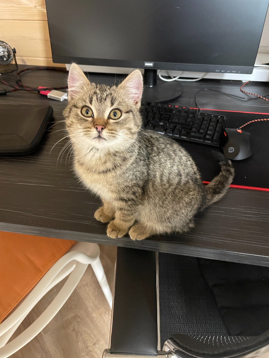 Это я маленький.