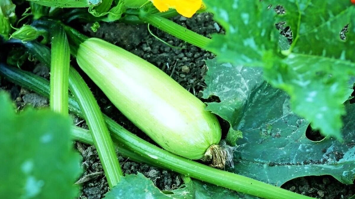     Источник: freepik.com