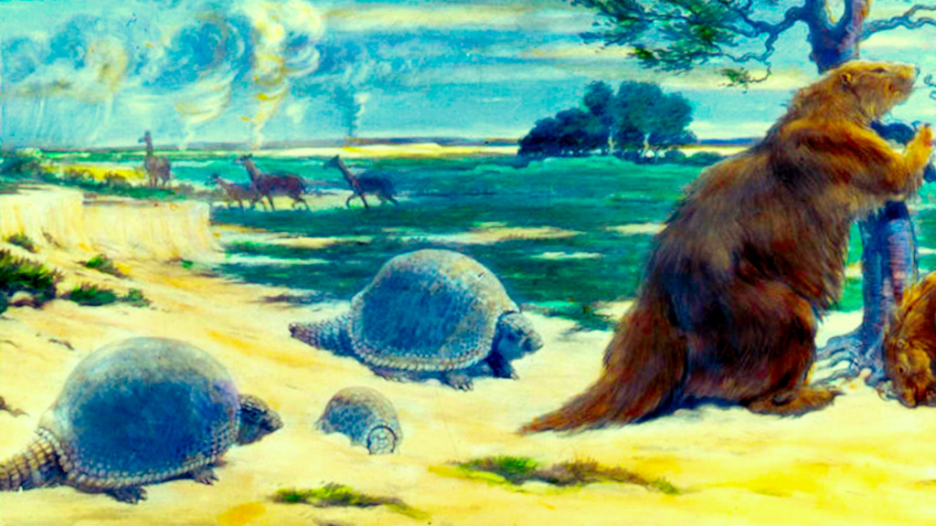 В плейстоцене в Южной Америке гигантами были все. И броненосцы...