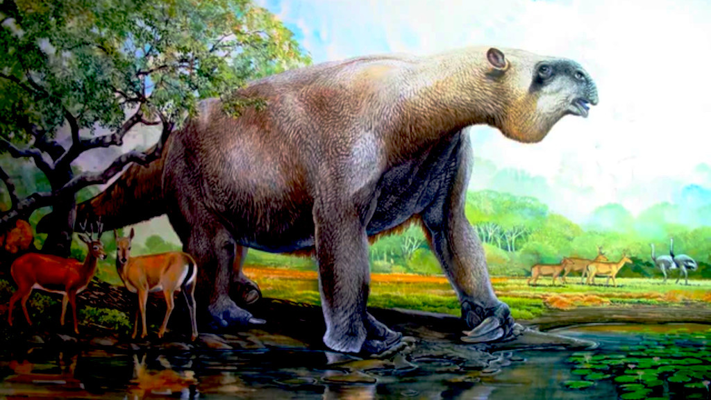 И ленивцы, которые тогда не были такими уж ленивыми.