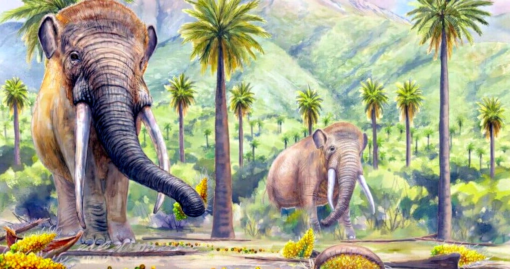 Как вымирание гигантов навредило лесам