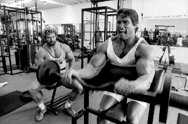 Фото тренировки Арнольда. Но с другой. Это просто иллюстрация.