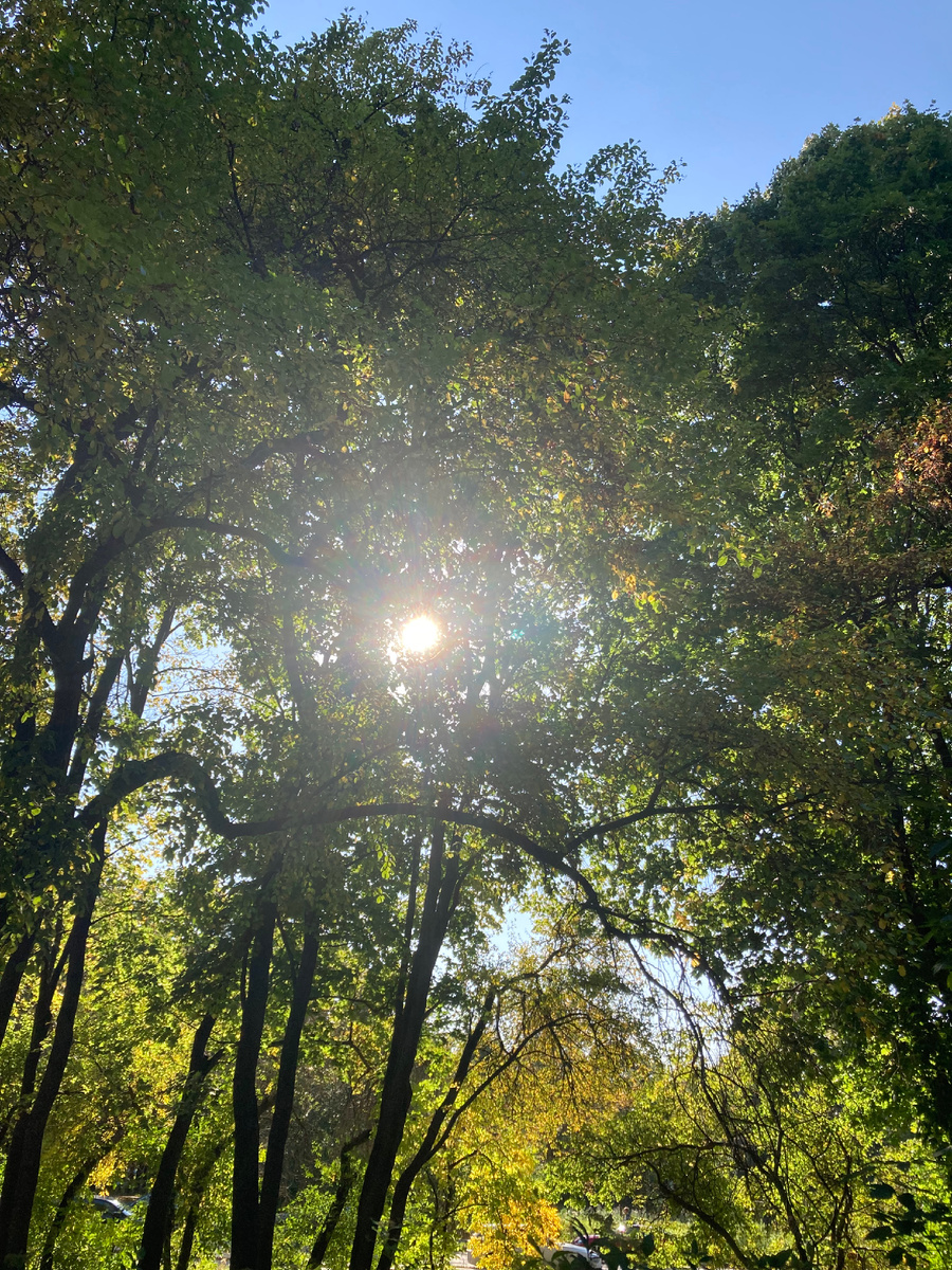 Фотография автора. Петровский парк, Москва.