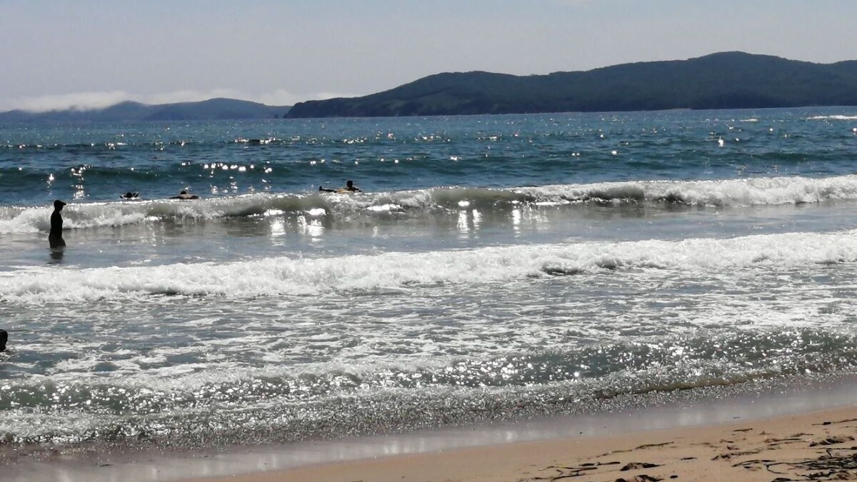     Источник: vostokmedia.com