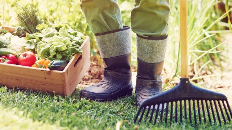     Урожай. freepik.com/gpointstudio