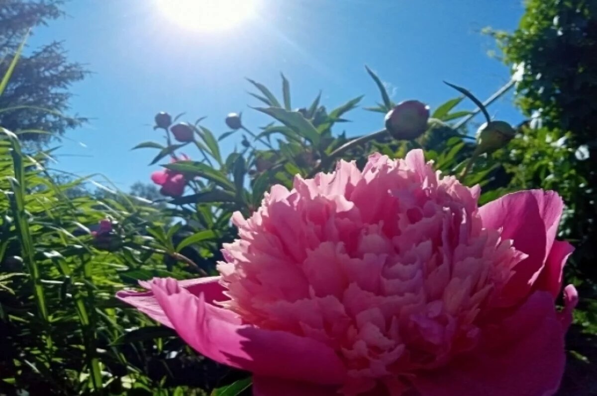    Ларионов день 19 июня: что можно и что нельзя делать, приметы