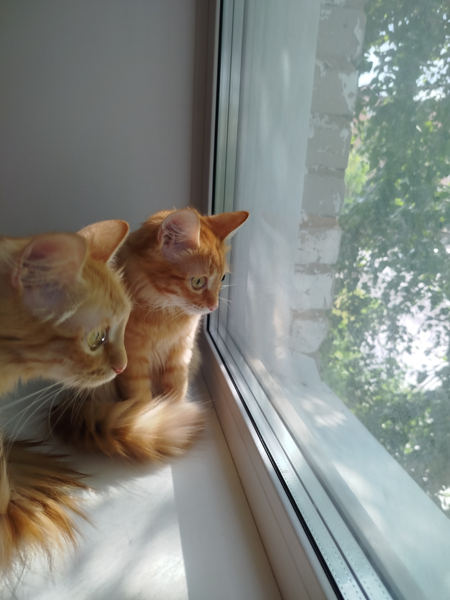 Рай. Просто Рай! Симочка с Сильвером