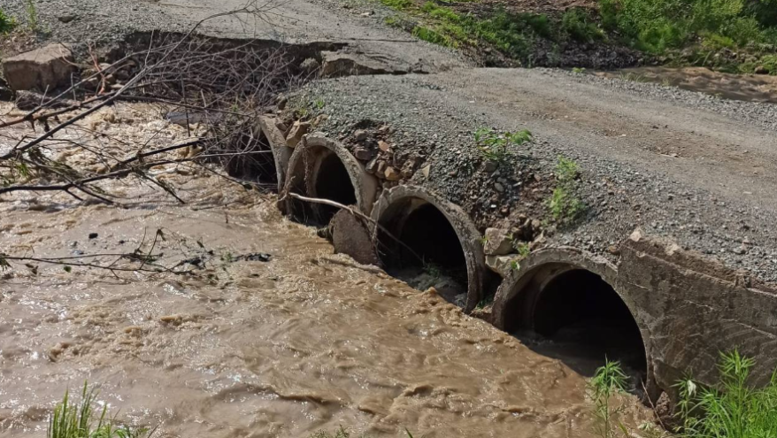    Источник фото: Прокуратура Приморского края