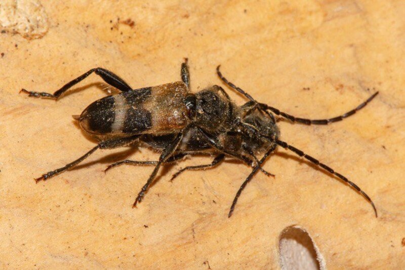    Фото Александра Губина admin