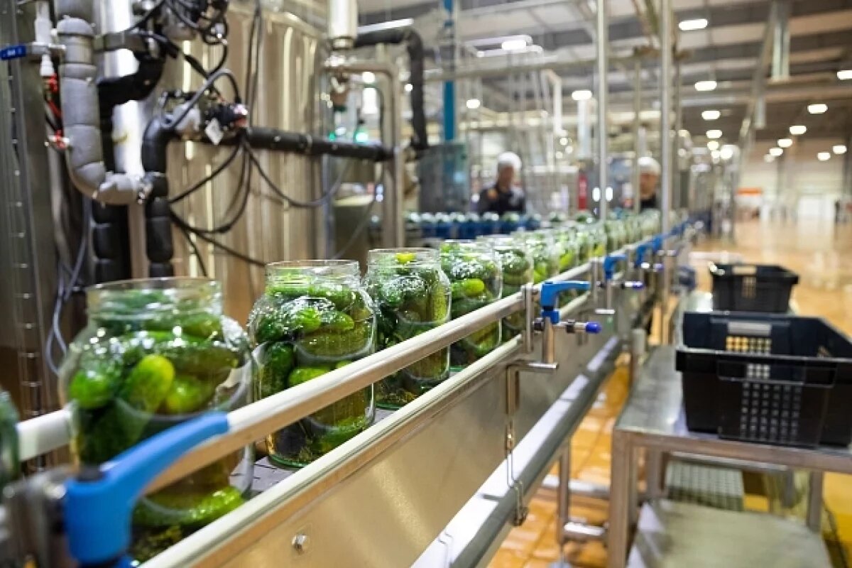    Новосибирская область представила на ПМЭФ проект завода в логопарке