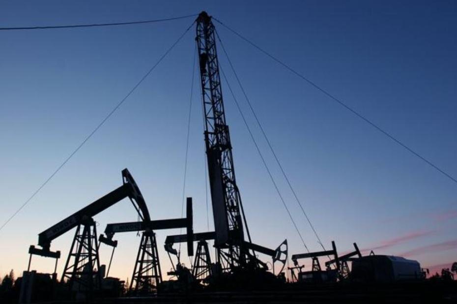    Nikolay Gyngazov/Global Look Press