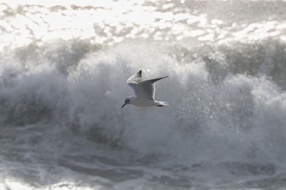   Сергей Петров/NEWS.ru