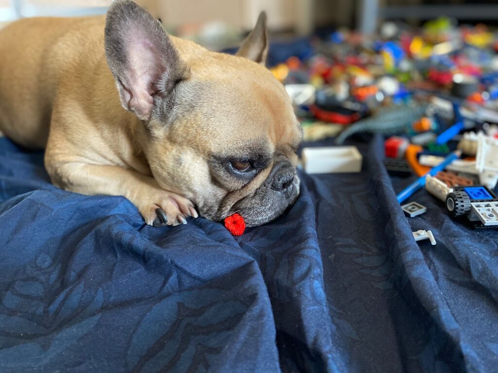    Фото: В курсе.ру Ульяна Бажанова