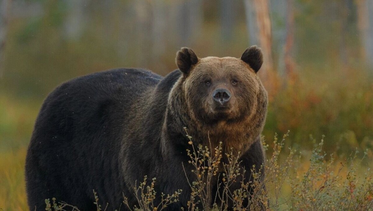     Источник: freepik.com