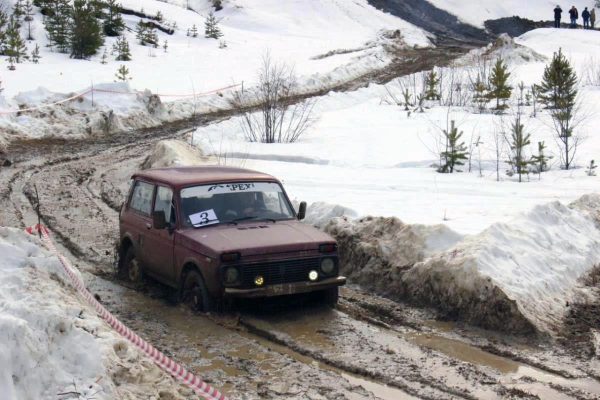    Четыре проекта – победители!