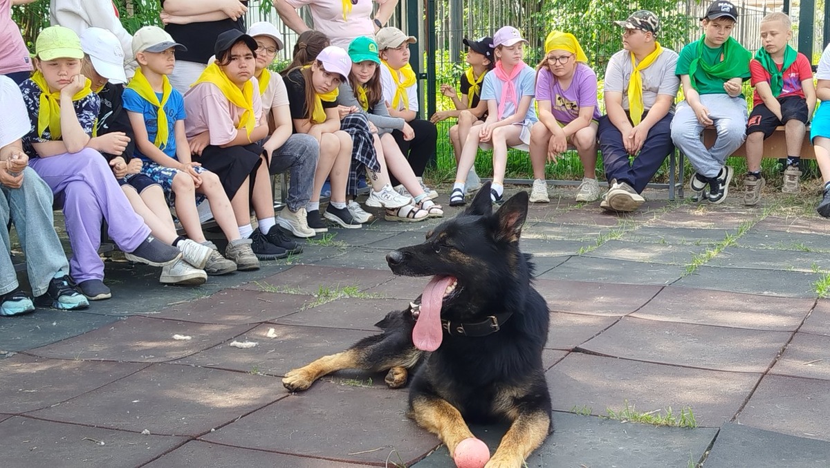    Хвостатые сотрудники