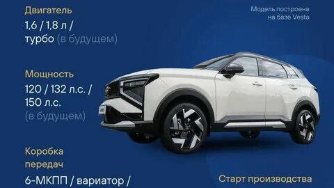    Фото: из открытых источников