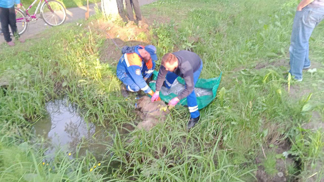 Фото: Аварийно-спасательная служба Ленинградской области
