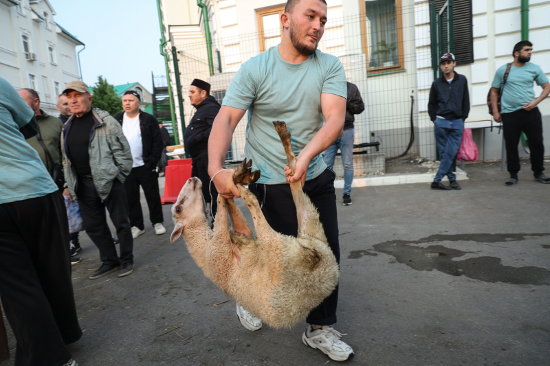    Фото: © Andrey Titov Business Online/Globallookpress