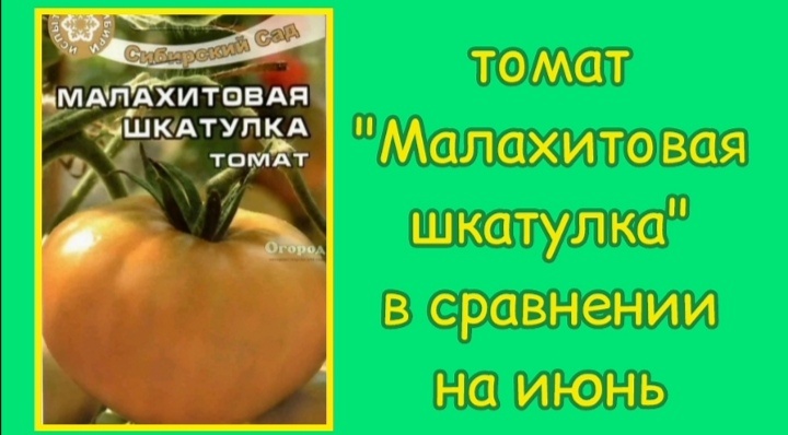 фото коллаж автора