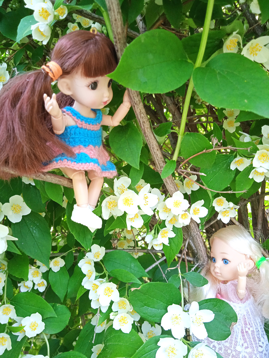 Фото автора канала. 