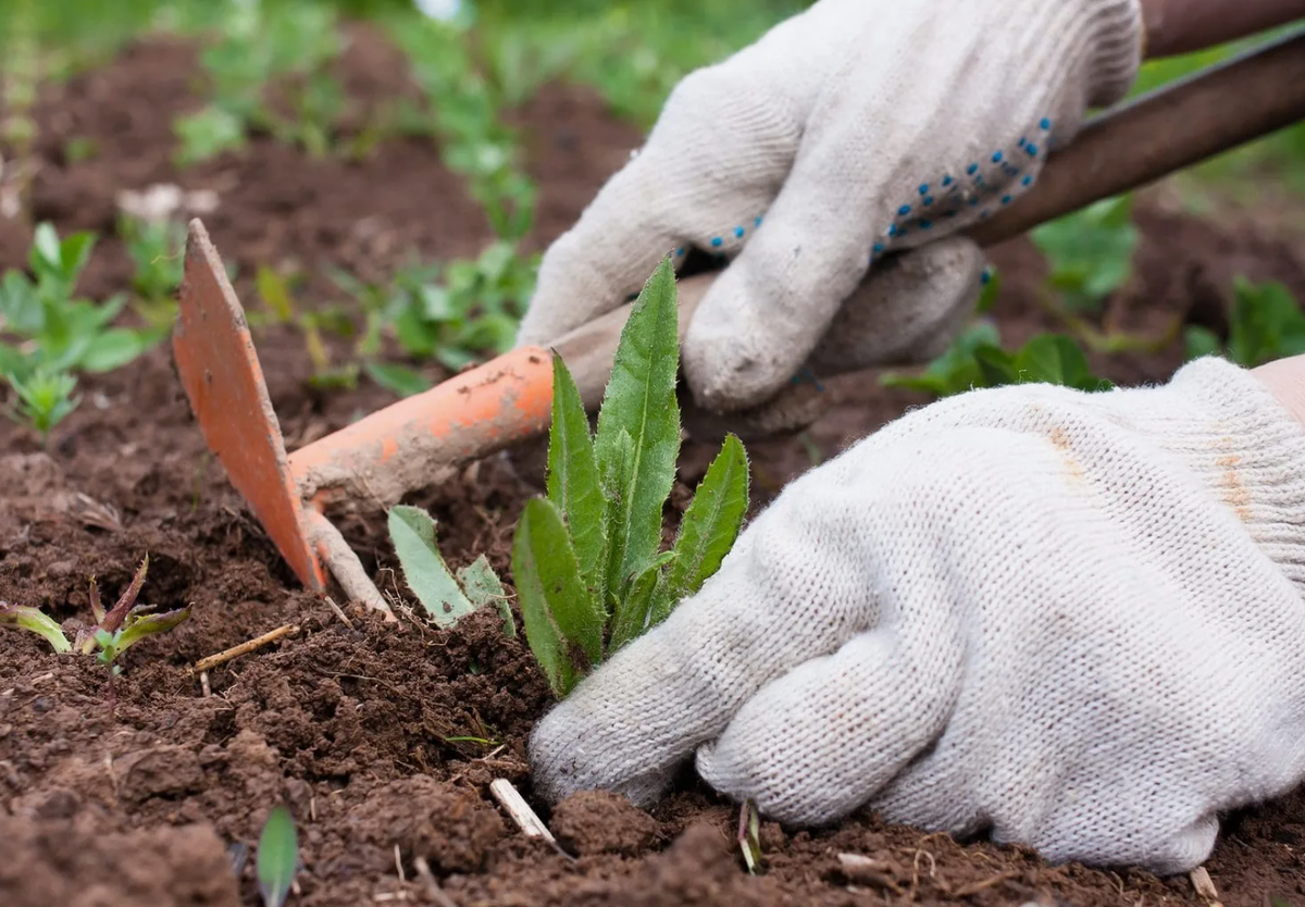 Источник фото: latterdaysaintmag.com