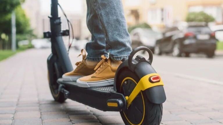    Фото: Wpadington/Shutterstock/Fotodom