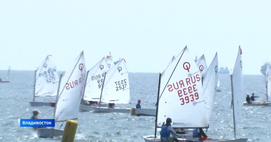 Масштабная регата Приморского края для класса «Оптимист» стартовала во Владивостоке