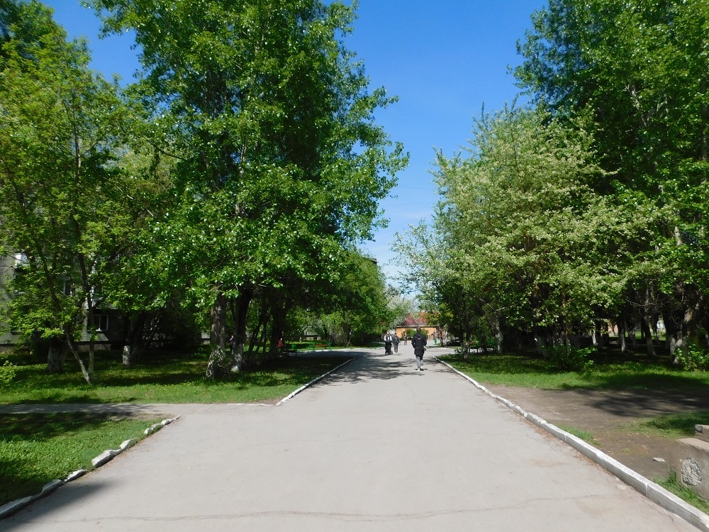    Бульвар Ветеранов Войны в Линево. Фото Анны Зубаревой