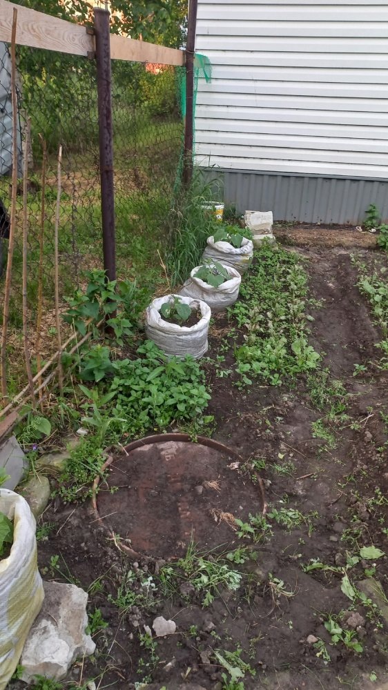    Мешок бананов с огурцами