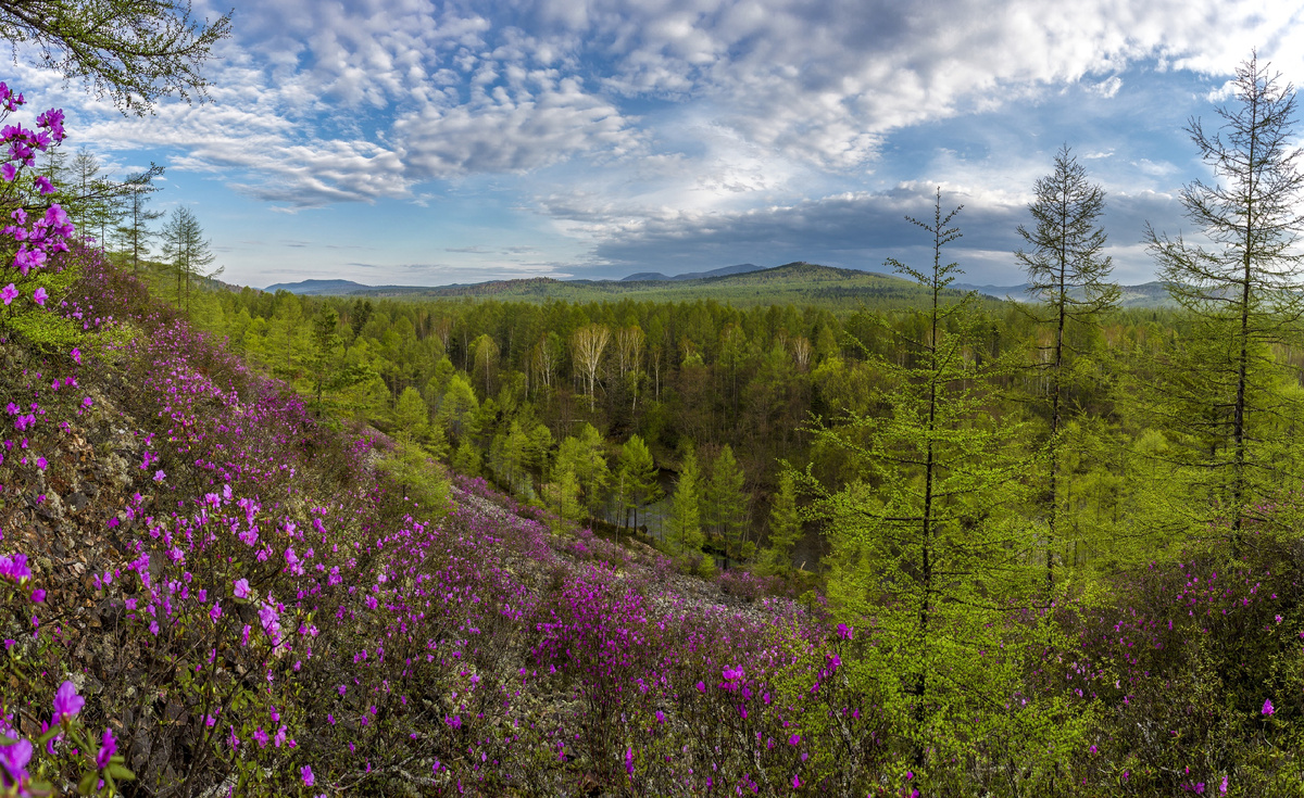 фото Евгений Табалыкин