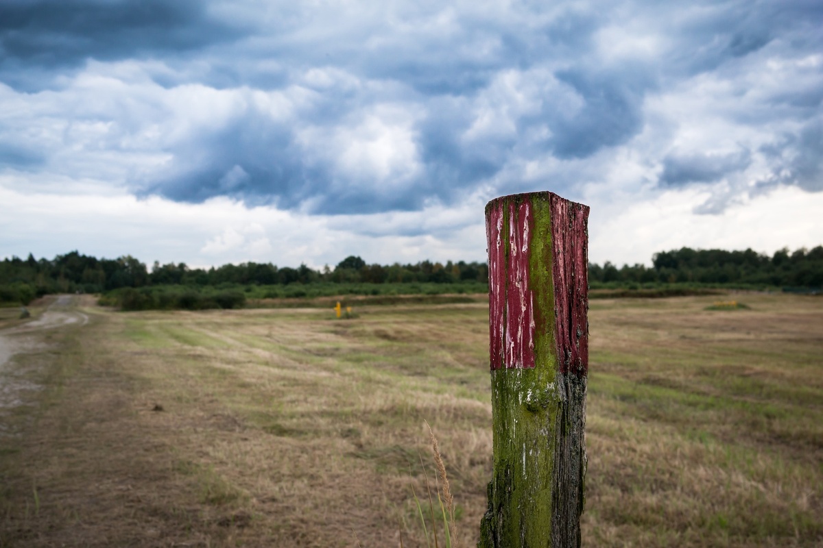    Фото с сайта pxhere.com