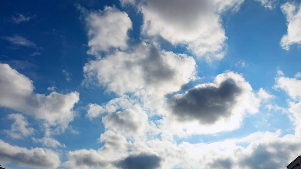 Фото: Марина Молдавская / Коммерсантъ