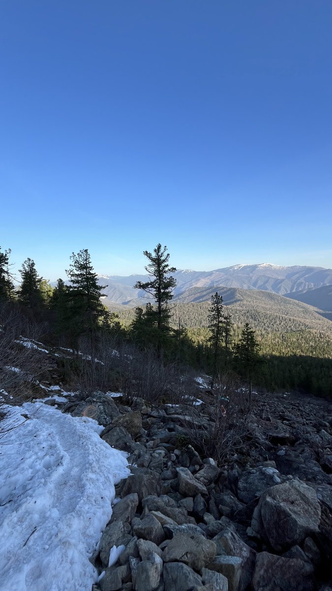 Вид в сторону кордона Таловский лог.