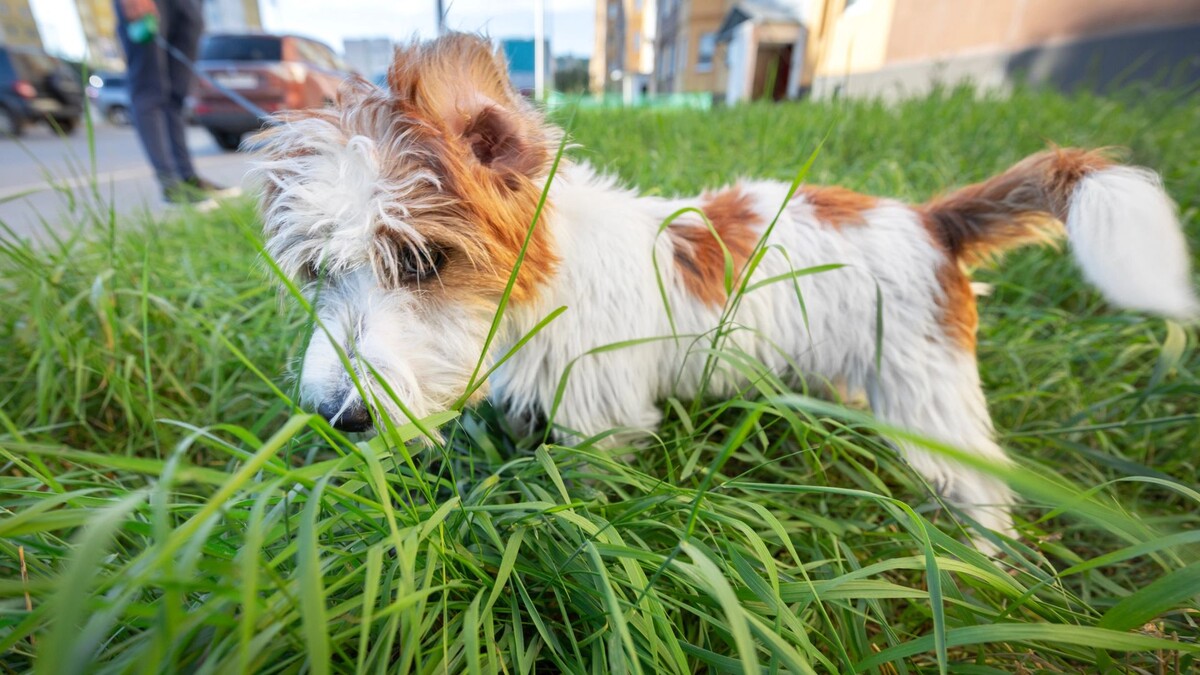    Фото: Юлия Чудинова / «Ямал-Медиа»