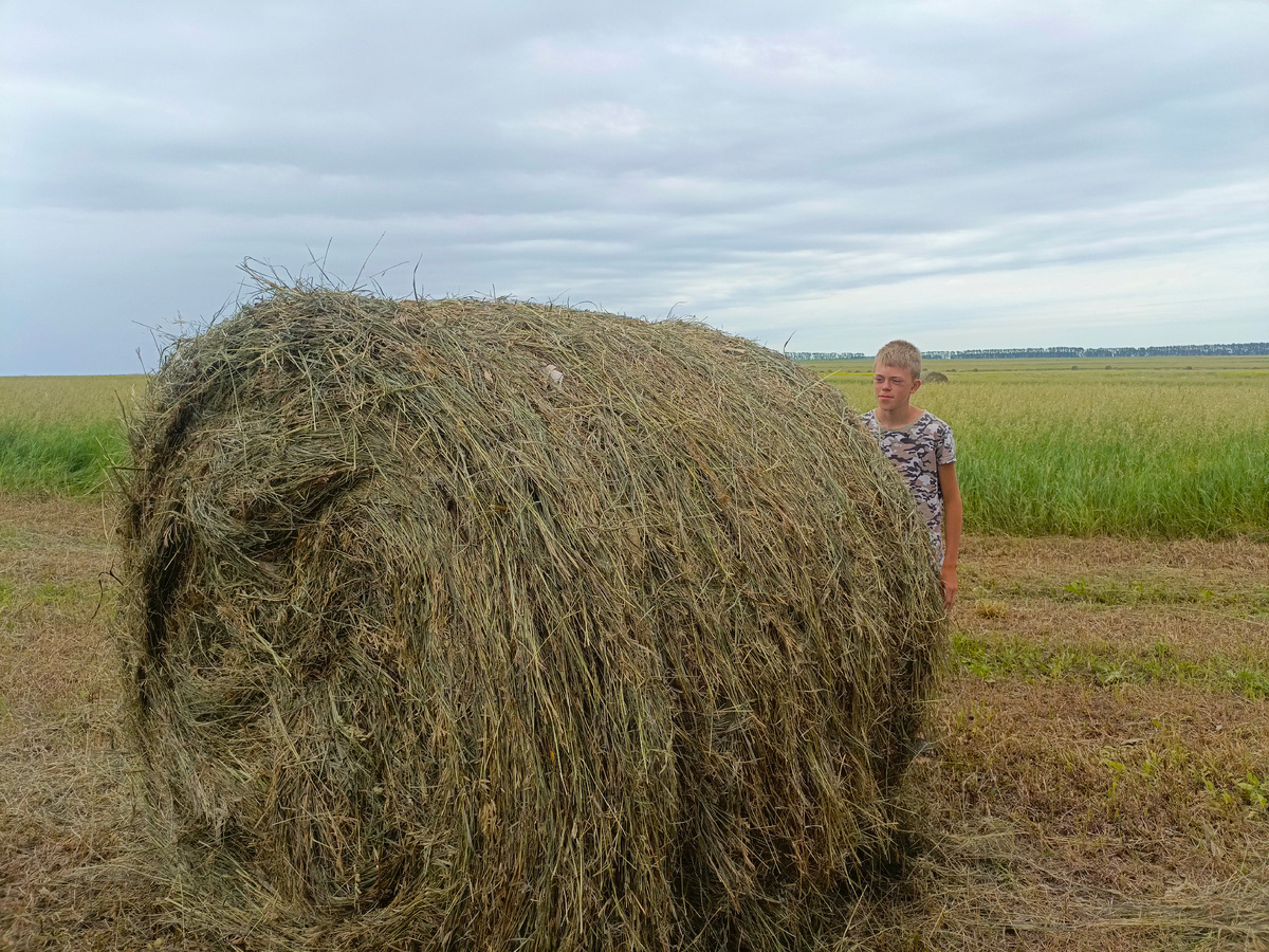 Сенокос начался. 