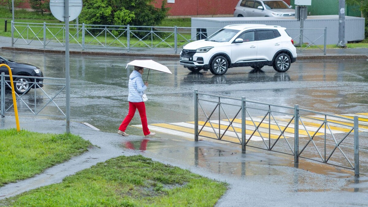    Фото: Федор Воронов/«Ямал-Медиа»