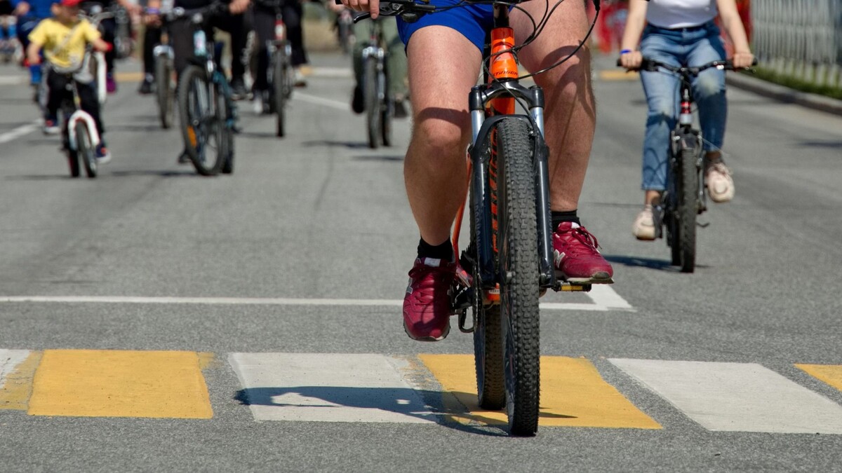    Фото: Василий Петров/«Ямал-Медиа»